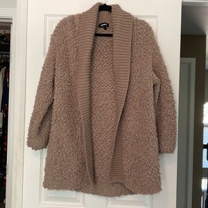 Express teddy sweater